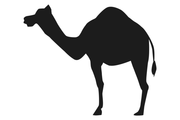 Camel Silhouette: The Versatile Desert Animal Icon for Design
