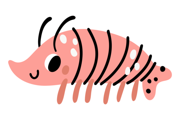 Pink Krill Animal: A Guide to This Unique Display Typeface